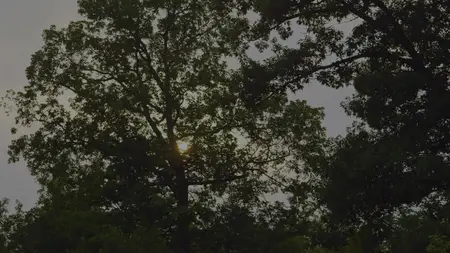 Fear Thy Neighbor S06E10