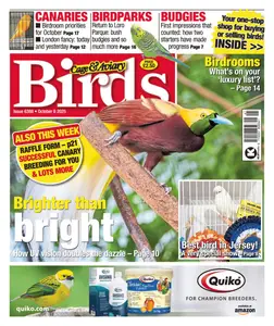 Cage & Aviary Birds - 8 October 2025