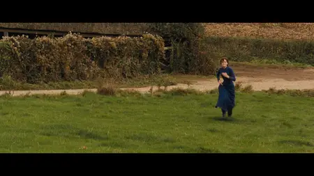 Far from the Madding Crowd (2015)