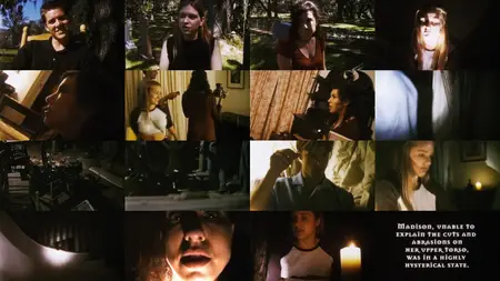 The St. Francisville Experiment (2000)