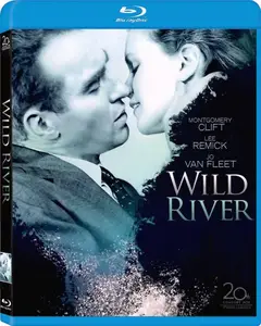 Wild River (1960) [MultiSubs] + Commentary