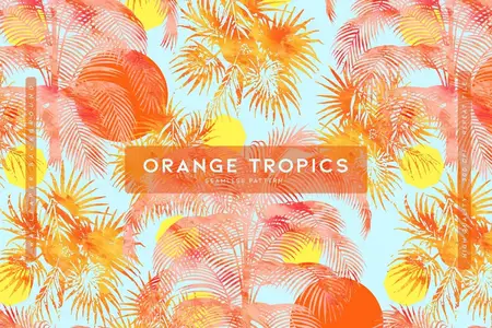 EE - Orange Tropics GVUC2N4