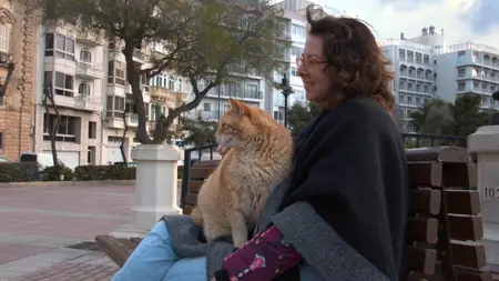 Cats of Malta (2022)