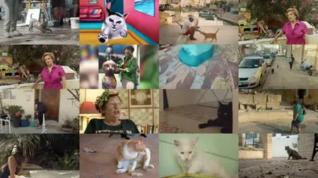 Cats of Malta (2022)
