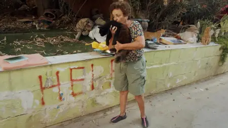 Cats of Malta (2022)