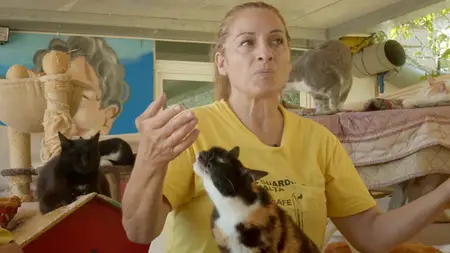 Cats of Malta (2022)