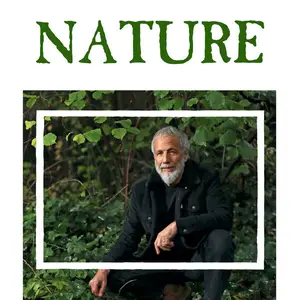 Cat Stevens - Nature (2025)