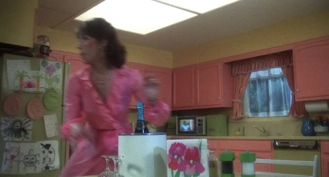 The Incredible Shrinking Woman (1981)