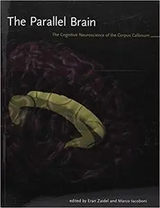 The Parallel Brain: The Cognitive Neuroscience of the Corpus Callosum