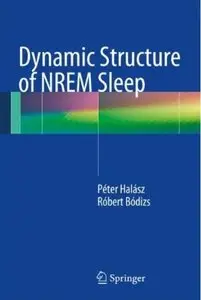 Dynamic Structure of NREM Sleep [Repost]