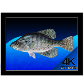 Aquarium 4K - Live Wallpaper 1.0.1