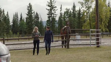 Heartland S11E12