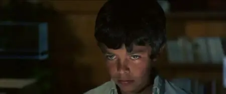 Non si sevizia un paperino / Don't Torture a Duckling (1972)