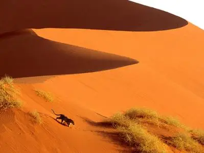 Ultra High Resolution Pictures of Africa - Set 1 