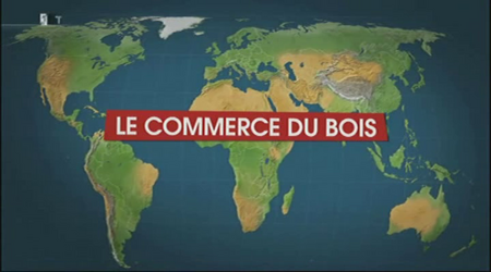 (Arte) Le dessous des cartes : Le commerce du bois (2 sur 3)