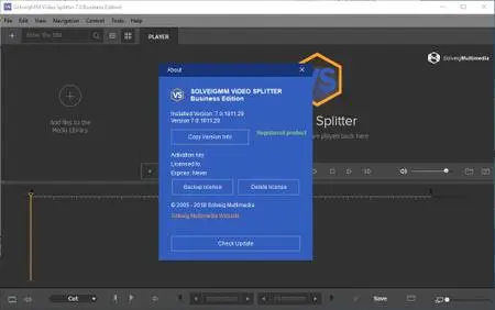 SolveigMM Video Splitter 7.0.1811.29 Business Edition Multilingual