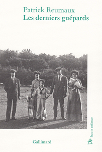 Les derniers guépards - Patrick Reumaux