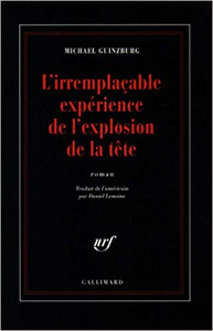 L'Irremplaçable Expérience de l'explosion de la tête - Michael Guinzburg