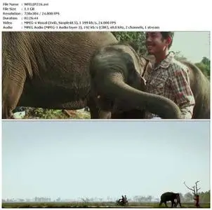 When Elephants Were Young (2016)