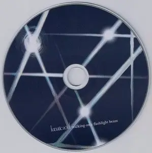 Lunatic Soul - Walking on a Flashlight Beam (2014) [Special Edition CD+DVD]