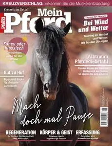 Mein Pferd – November 2020