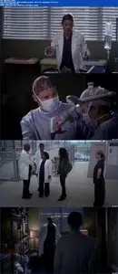 Greys Anatomy S10E24