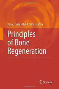 Principles of Bone Regeneration (Repost)