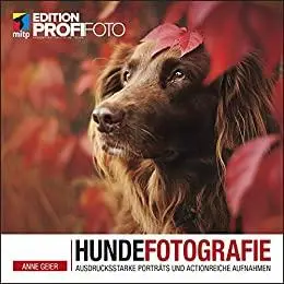 Hundefotografie: Ausdrucksstarke Porträts und actionreiche Aufnahmen