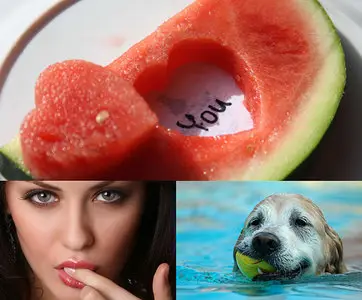 The Best Wallpapers pack 238 by nko