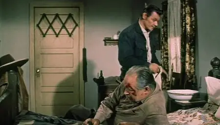 The Tall Stranger (1957)