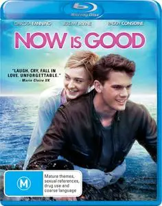Now Is Good (2012)