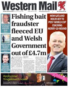 Western Mail - March 29, 2019