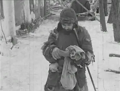 Mit der Kamera nach Stalingrad (2009)