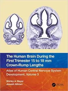 The Human Brain during the First Trimester 15- to 18-mm Crown-Rump Lengths: Atlas of Human Central Nervous System Develo