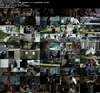 La vie domestique / Domestic Life (2013)