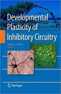 Developmental Plasticity of Inhibitory Circuitry