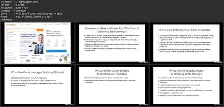 Beginner'S Guide To Alibaba: Marketing & Dropshipping Sales
