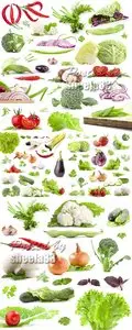 Stock Photo - Vegetables Isolated