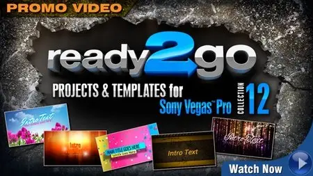 R2G Collection 12 for Sony Vegas Pro