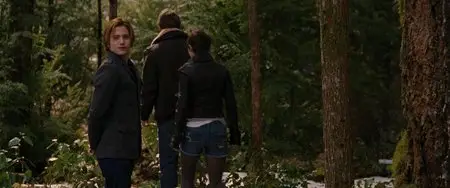 The Twilight Saga: Breaking Dawn - Part 2 (2012)