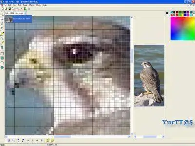 Portable Falco Icon Studio v2.4