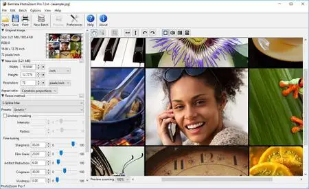 Benvista PhotoZoom Pro 8.1.0 Multilingual + Portable