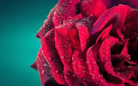 The Best Wallpapers pack 231 by nko