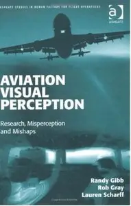 Aviation Visual Perception (repost)