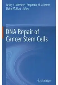 DNA Repair of Cancer Stem Cells [Repost]
