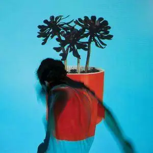 Local Natives - Sunlit Youth (2016) [Official Digital Download]