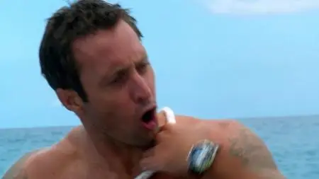 Hawaii Five-0 S03E03