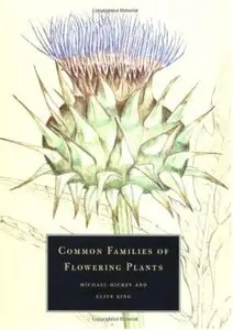 Common Families of Flowering Plants