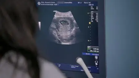 PBS - FRONTLINE: The Abortion Divide (2019)