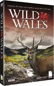 BBC - Wild Wales (2011)
